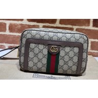Gucci Ophidia GG pouch Bag 760245 Beige