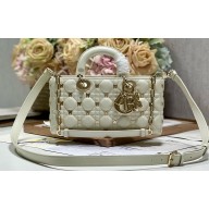Dior Medium Lady D-Joy Bag in White Cannage Lambskin with Gold-Finish Butterfly Studs 2024