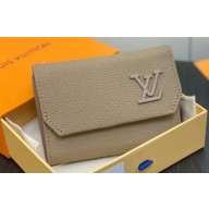 Louis Vuitton Cowhide leather Aerogram Slender Pilot Wallet M82410 Sage 2024