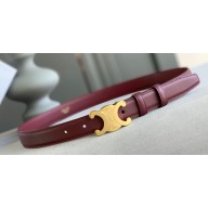 Celine 2.5cm Medium Triomphe Belt 19