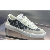 Dior Smooth Calfskin and Nubuck B101 Men's Sneakers 09 2024
