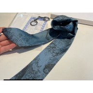 Dior Mitzah Scarf 6x105cm 240221 08 2024