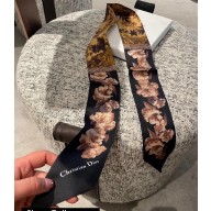 Dior Mitzah Scarf 6x120cm 240221 12 2024