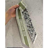 Dior Mitzah Scarf 6x105cm 240221 25 2024