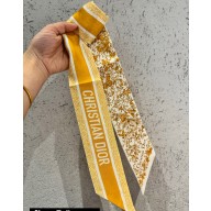 Dior Mitzah Scarf 6x105cm 240221 26 2024