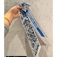 Dior Mitzah Scarf 6x105cm 240221 27 2024