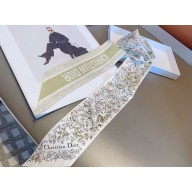 Dior Mitzah Scarf 6x100cm 240221 05 2024