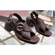 Miu Miu Heel 5cm Calfskin leather Sandals Coffee with Buckle 2024