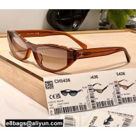 Chanel Acetate Square Sunglasses CH5436 03 2024