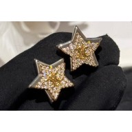 Celine Earrings 06 2024