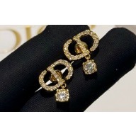 Dior Earrings 14 2024