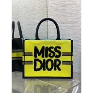 Dior MEDIUM Book Tote Bag in Two-Tone Green and Blue Miss Dior Graffiti Embroidery 2024