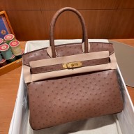 Hermes birkin 25 bag in ostrich leather alezan handmade