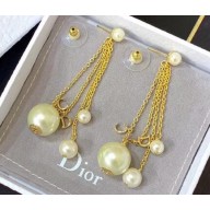 Dior Earrings 45 2019