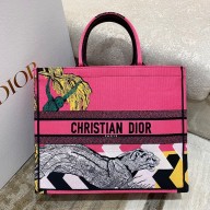 dior Multicolor Toile de Jouy Zoom Pop Embroidery large Book Tote 