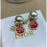 Dior cruise Earrings 05-2025