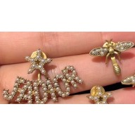 Dior Earrings 67 2019