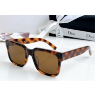 DIOR CD SIU SUNGLASSES 03 2024