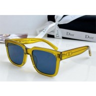 DIOR CD SIU SUNGLASSES 04 2024