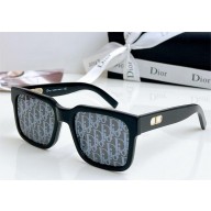 DIOR CD SIU SUNGLASSES 05 2024