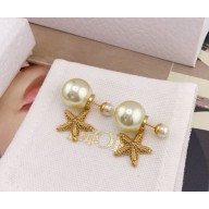Dior Earrings 25-2025