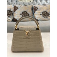 louis vuitton mini CAPUCINES bag in matt alligator leather gray with gold hardware
