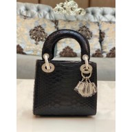 Lady Dior Python leather Mini Bag 20 2023