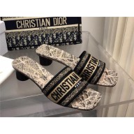 Dior Beige and Black Cotton Embroidered with Plan de Paris Motif Dway Heeled Slide 2024