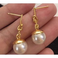 Celine Earrings C20