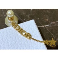Dior Earrings 101 2019