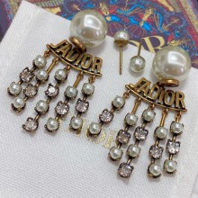 Dior earring   De010