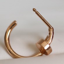 Cartier juste un clou earrings Car001