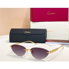 Cartier Sunglasses CT0544S-06 2025