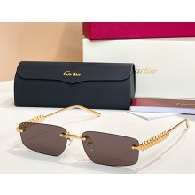 Cartier Sunglasses CT0544S-14 2025