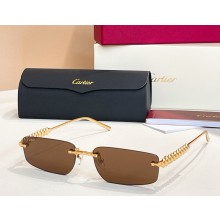 Cartier Sunglasses CT0544S-16 2025