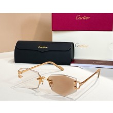 Cartier Sunglasses CT0582S-02 2025