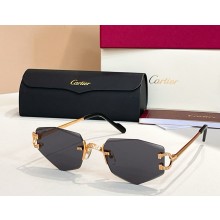 Cartier Sunglasses CT0582S-03 2025