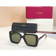 Cartier Sunglasses CT0315-01 2025