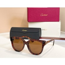 Cartier Sunglasses CT0316-01 2025