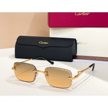 Cartier Sunglasses CT0695S 01 2025
