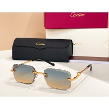 Cartier Sunglasses CT0695S 03 2025