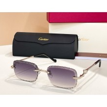 Cartier Sunglasses CT0695S 05 2025