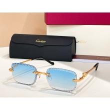 Cartier Sunglasses CT0695S 06 2025