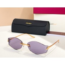 Cartier Sunglasses CT0684S 01 2025