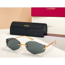 Cartier Sunglasses CT0684S 05 2025