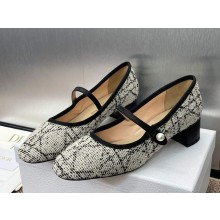 Dior D-Ramour Ballerina Multicolor Embroidered Cotton heel 3.5cm 2025