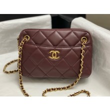Chanel Shiny Lambskin & Gold-Tone Metal DARK BROWN Mini Camera Case AS5190 2024