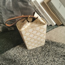 Celine Strap Box Bag in Triompe Canvas white 2021