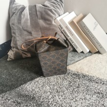 Celine Strap Box Bag in Triompe Canvas black 2021