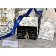 DIOR Dioriviera My Dior Glycine Wallet in black Cannage Lambskin 2024